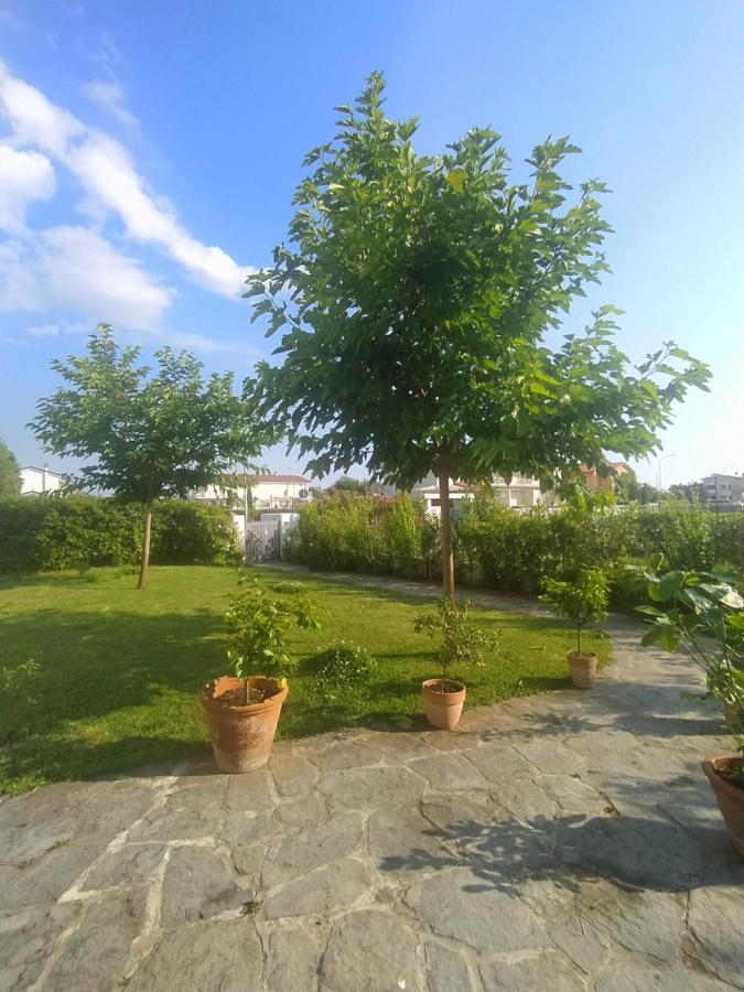 B&B Villa La Bouganville 卡麦奥雷 外观 照片