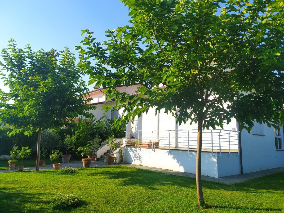 B&B Villa La Bouganville 卡麦奥雷 外观 照片