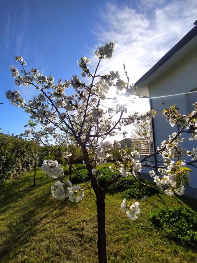 B&B Villa La Bouganville 卡麦奥雷 外观 照片