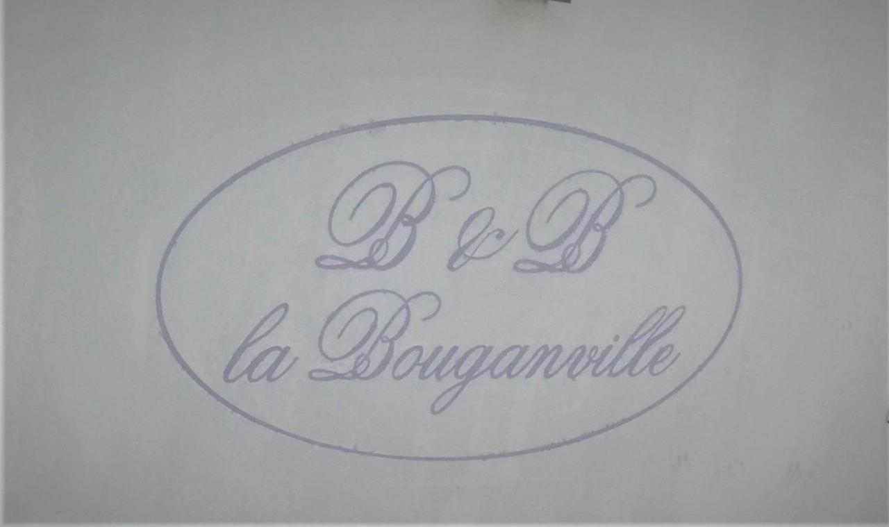 B&B Villa La Bouganville 卡麦奥雷 外观 照片